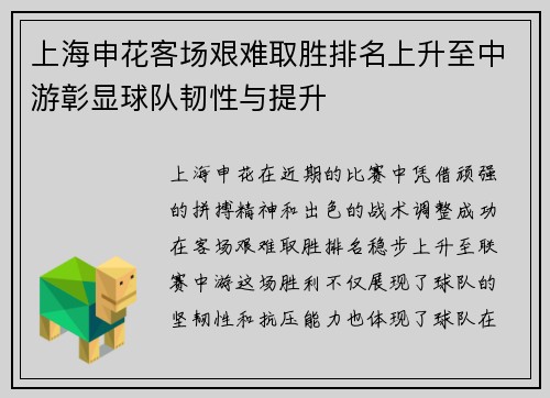 上海申花客场艰难取胜排名上升至中游彰显球队韧性与提升