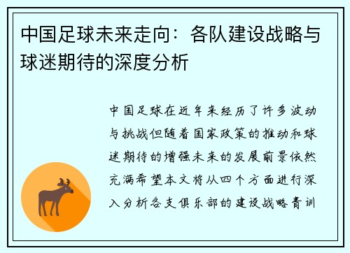 中国足球未来走向：各队建设战略与球迷期待的深度分析